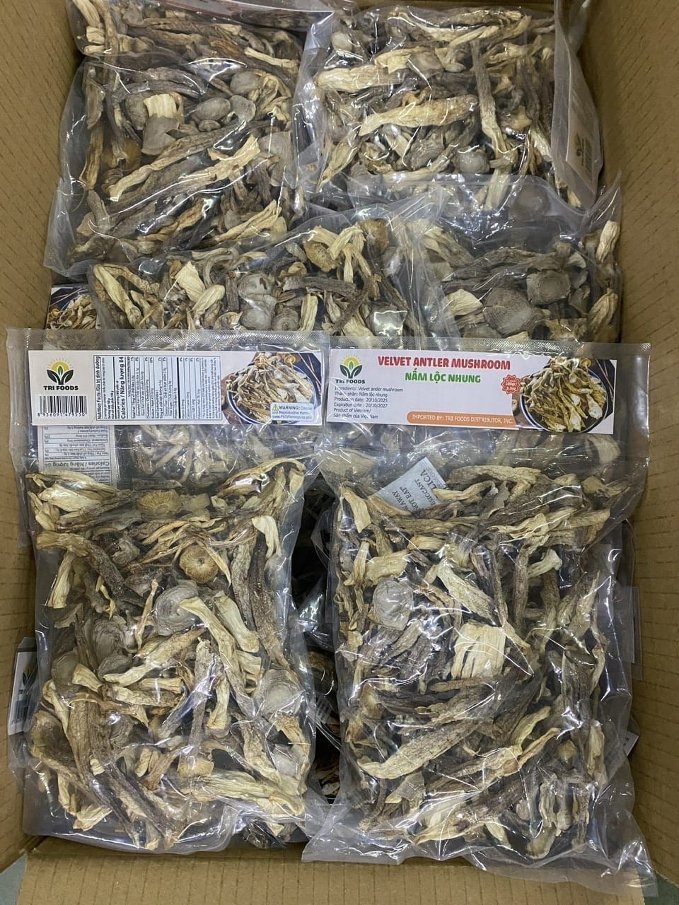Velvet antler mushroom (Nấm lộc nhung)