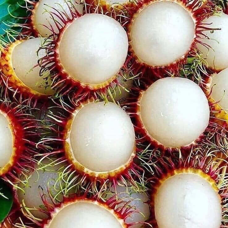 Fresh Rambutan (Chôm Chôm Tươi)