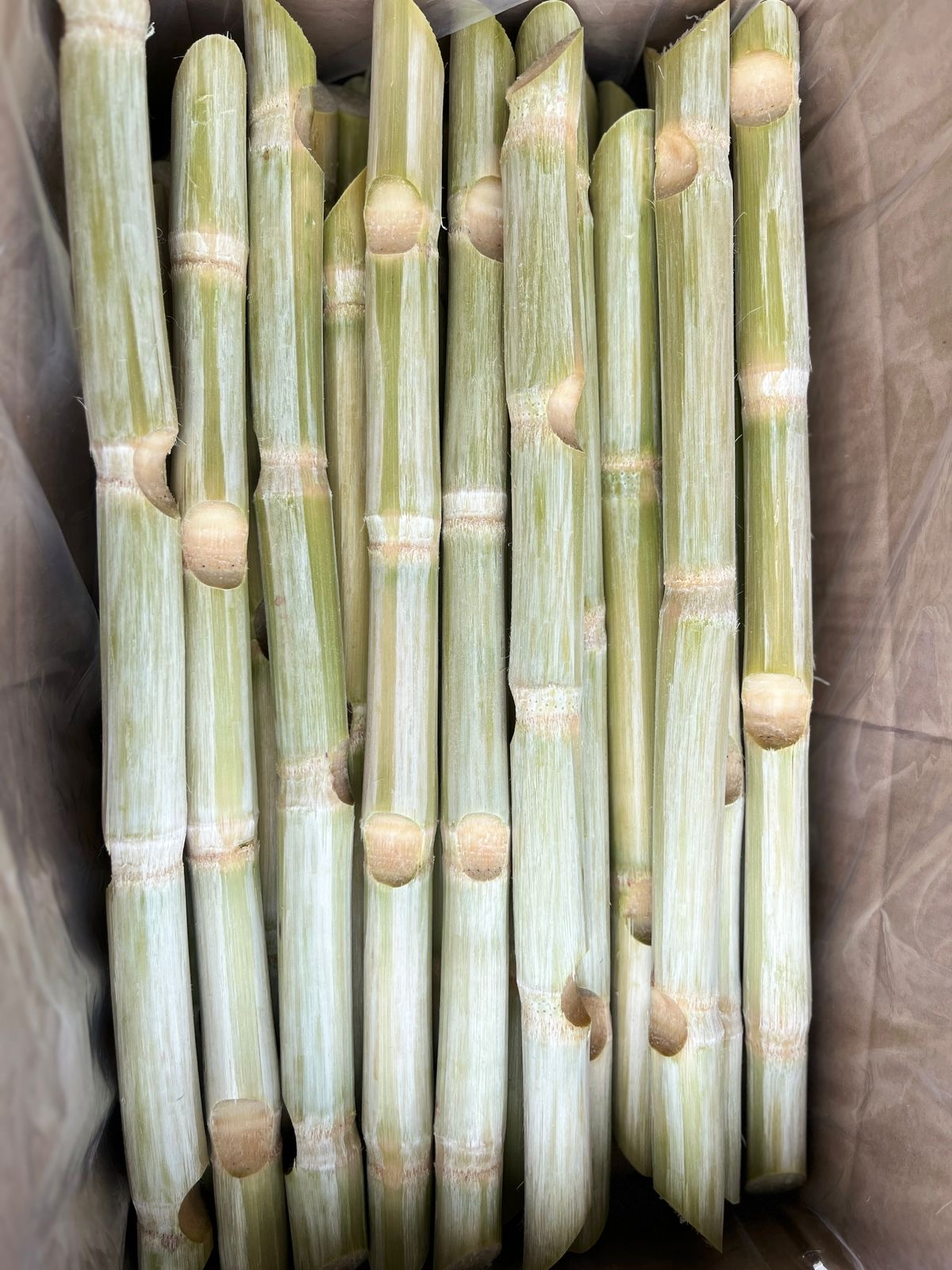 Frozen Sugarcane Sticks (Mía cây đông lạnh)